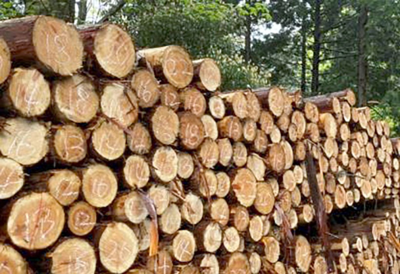 森林認証の木材